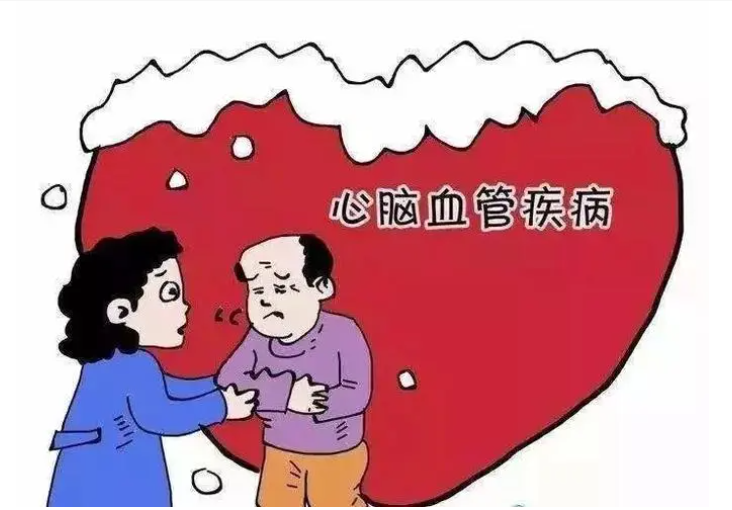 心脑血管疾病.png